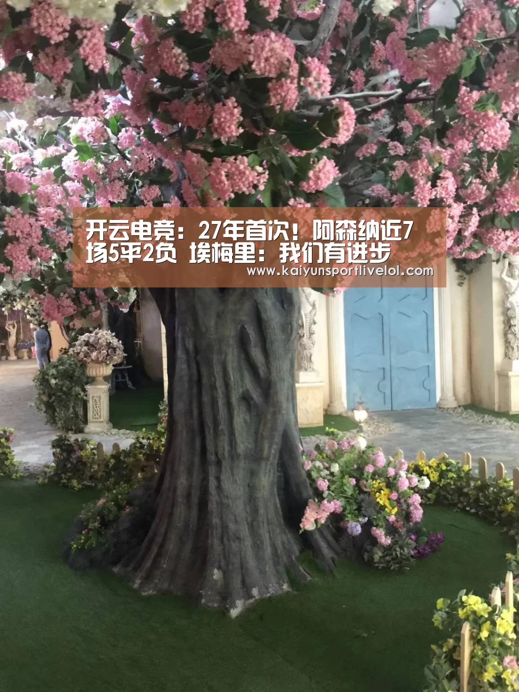 开云电竞官网
