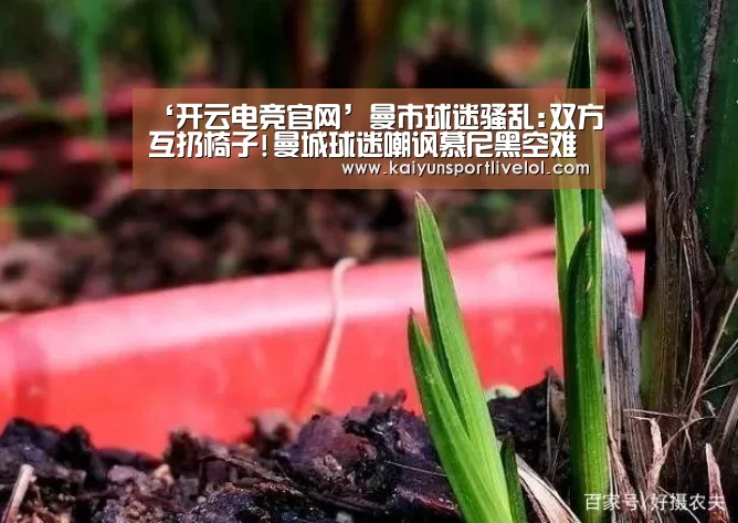 ‘开云电竞官网’曼市球迷骚乱:双方互扔椅子!曼城球迷嘲讽慕尼黑空难(图2) LOL直播