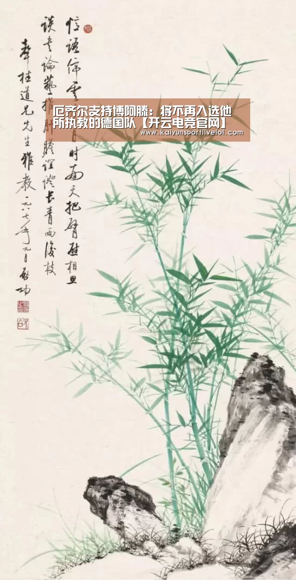 开云电竞
