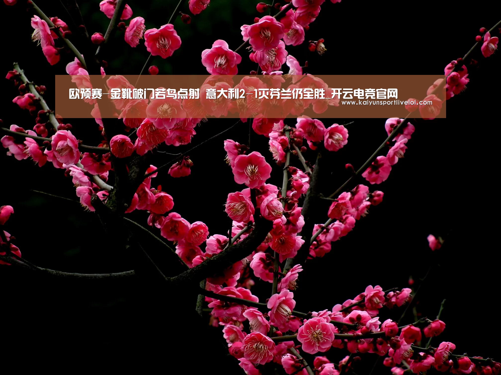 开云电竞