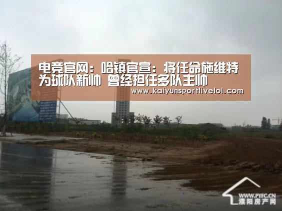 电竞官网