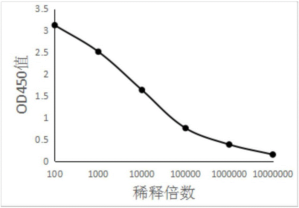 电竞官网