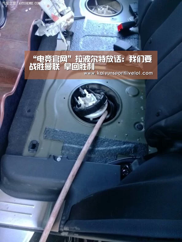 开云电竞官网